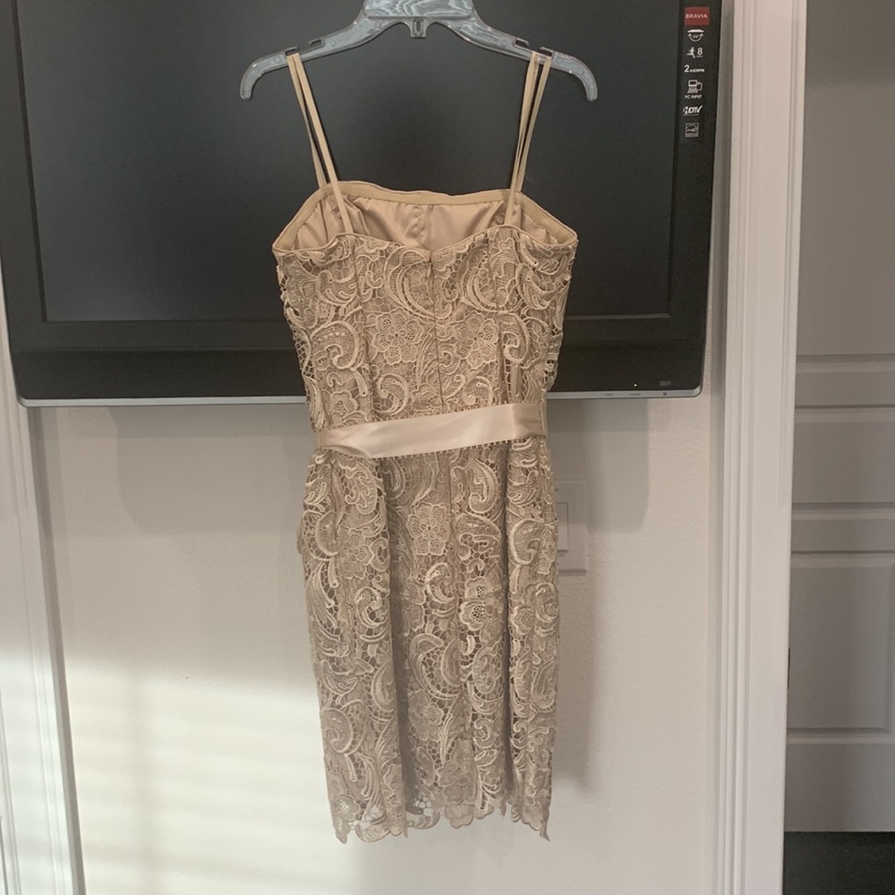 Cache Lace Dress - Picture 2 of 3